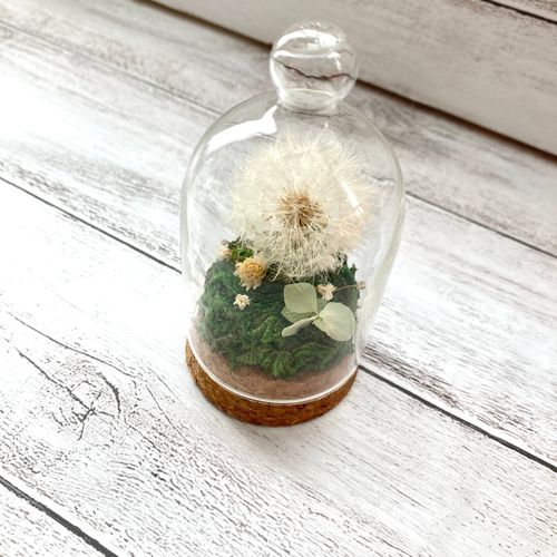 たんぽぽ綿毛のボトルフラワー（オレガノ）✳︎わたげのドライフラワー