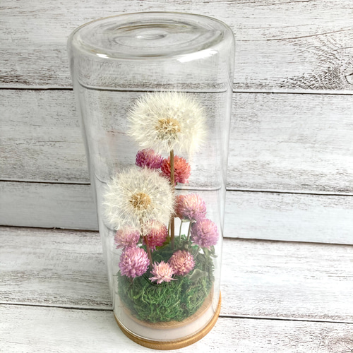 たんぽぽ綿毛の野原ボトル ボトルフラワー ドライフラワーわたげの