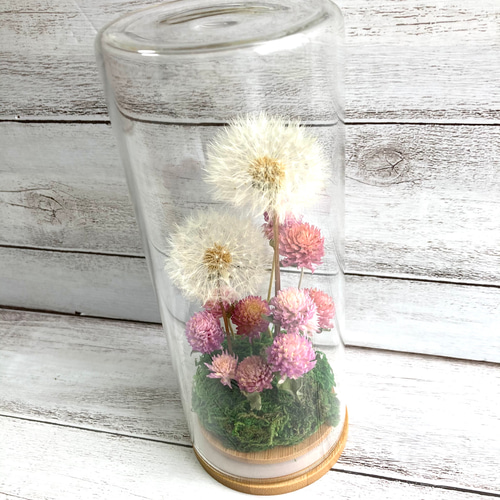 たんぽぽ綿毛の野原ボトル ボトルフラワー ドライフラワーわたげの