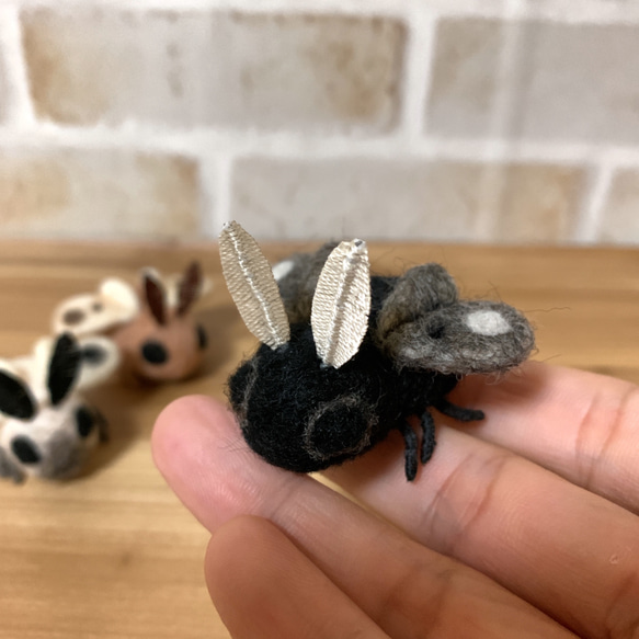 蛾【ウサギモドキ】ブラックオター 羊毛フェルト セイブツ屋 通販