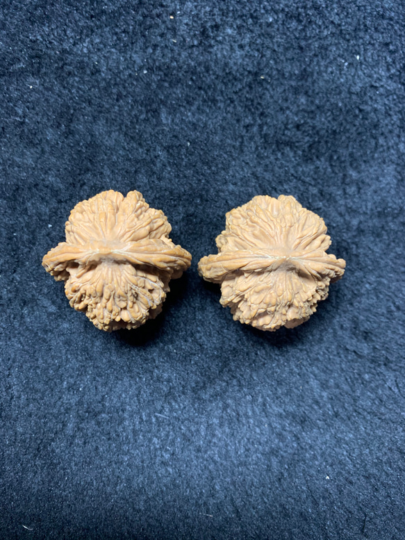 遊ぶ胡桃、文玩核桃、クルミ403741/42.8g その他アクセサリー 鏡淞堂