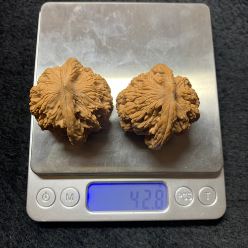 遊ぶ胡桃、文玩核桃、クルミ403741/42.8g その他アクセサリー 鏡淞堂