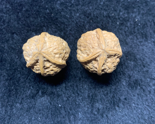 国内発送】 遊ぶ胡桃、文玩核桃、クルミ413943/41.9g｜その他