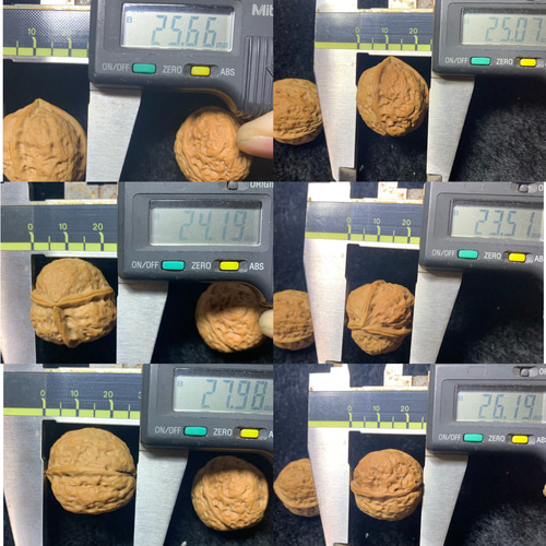 ミニ遊ぶ胡桃、文玩核桃、ミニクルミベンツの商標型252427/16.5g