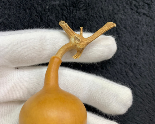 珍游雑項收蔵珍宅之宝ヒョウタン珍宅之宝太極