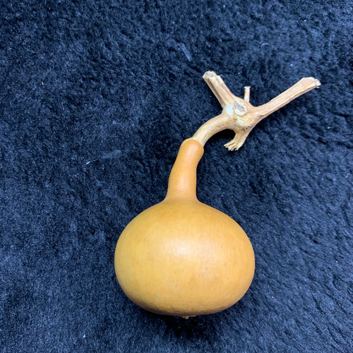 ヒョウタン、【独り占め】瓢箪、文遊びひょうたん 37497704/6.7g