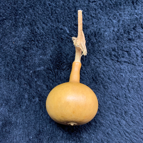 ヒョウタン、【独り占め】瓢箪、文遊びひょうたん 37497704/6.7g