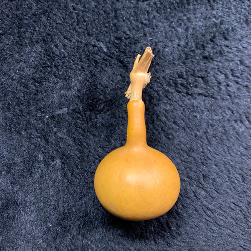 瓢箪 ひょうたん 瓢箪・ひょうたん・ヒョウタン販売。乾燥した素材。お守