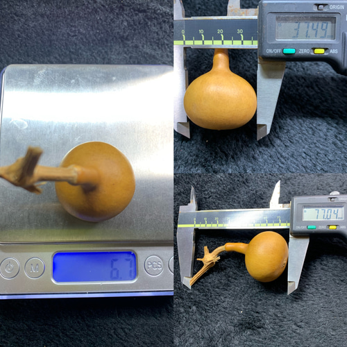 ヒョウタン、瓢箪、文遊びひょうたんJST422774114g