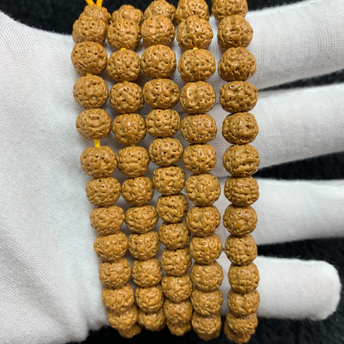 ルドラクシャ(菩提樹の実) 小金剛菩提五面蜂の巣双竜型 887/39.4