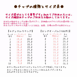 ≪送料無料≫サイズ確認用チップ ◇全5種のうち3〜5種類をご希望の方はこちらから◇ 2枚目の画像