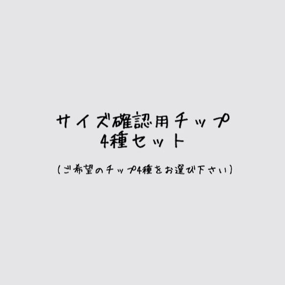 サイズ確認用チップ4種セット 1枚目の画像