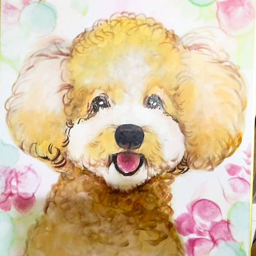 犬木栄治先生直筆サイン複製色紙 | YUKIUSAGI Museum | MUUSEO