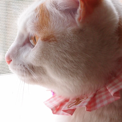 エシカルファッション『オシャ猫ラッフルカラー』ピンク 3枚目の画像