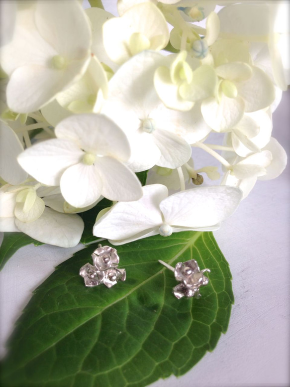 アジサイピアス Hydrangea Earrings 1枚目の画像