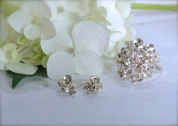 アジサイピアス Hydrangea Earrings 3枚目の画像