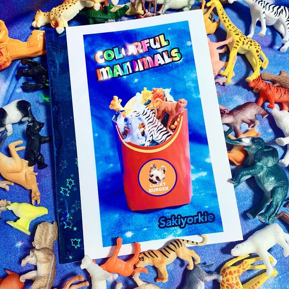 ZINE［COLORFUL MAMMALS］ 1枚目の画像