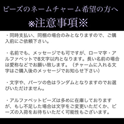 【送料無料】〈2個セット〉♡桜アクセサリー♡桜デザイン2種　チャーム　マスクチャーム 8枚目の画像