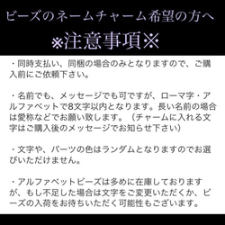 【送料無料】〈2個セット〉♡ わんこキーホルダー　2個セット B-①♡犬リボン 犬チャーム 肉球 9枚目の画像