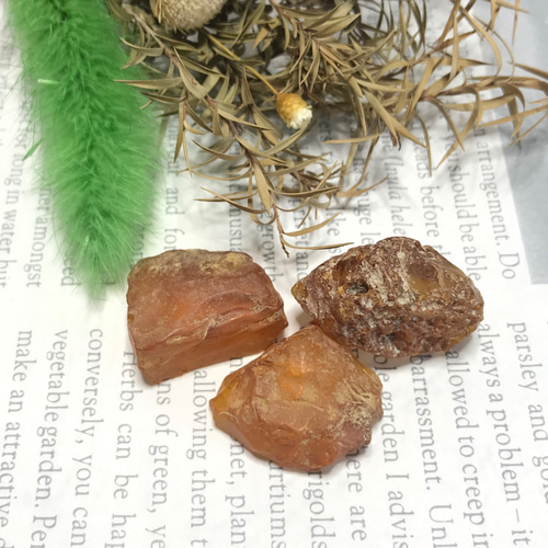 ドミニカ産琥珀 虫入り琥珀 約4 5グラム （楽天市場】ドミニカ産