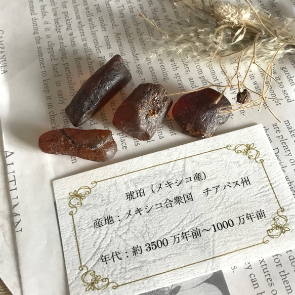 ※琥珀サイズ1.5ｇ～２ｇ未満☆簡易版☆琥珀磨きセット【メキシコ産】 1枚目の画像