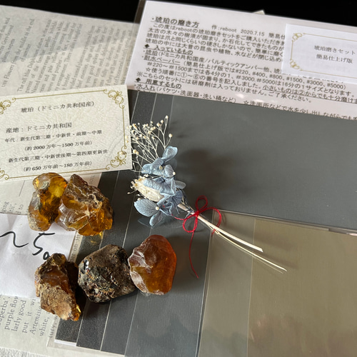 ドミニカ産琥珀虫入り琥珀約4・5グラム