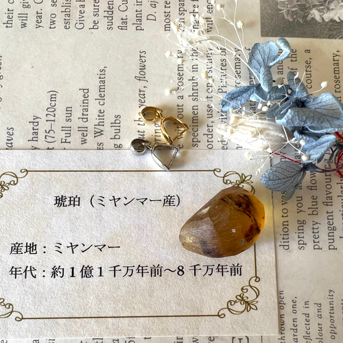 琥珀磨きセット※穴あけ済【ミャンマー産】F キット reboot 通販