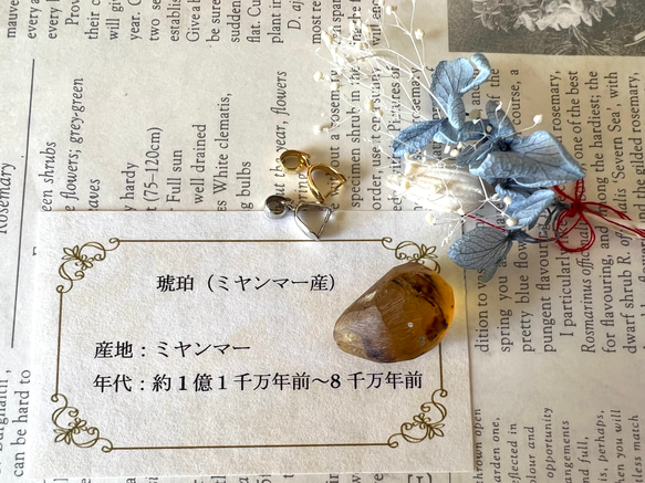 琥珀磨きセット※穴あけ済【ミャンマー産】F キット reboot 通販