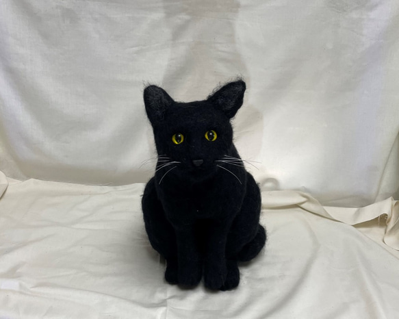 ペットロスの方へ…癒しの仲間として再び。 