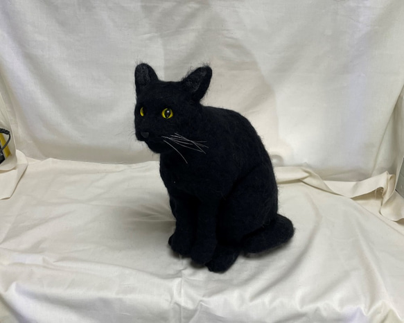 ペットロスの方へ…癒しの仲間として再び。 