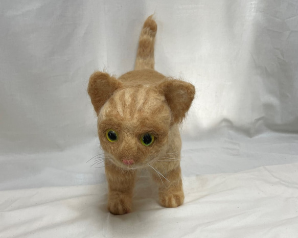 ペットロスの方へ…癒しの仲間として再び。 