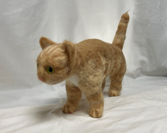 ペットロスの方へ…癒しの仲間として再び。 