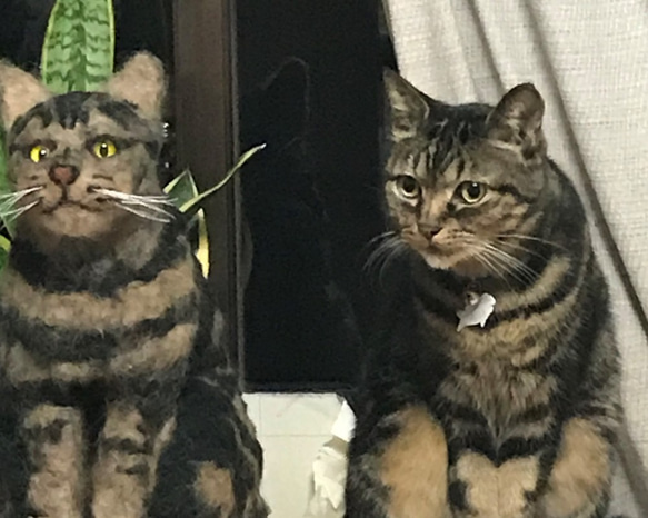 ペットロスの方へ…癒しの仲間として再び。 