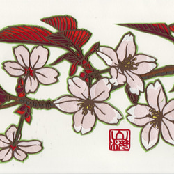 切り絵「日本の桜・山桜」カラー原画 2枚目の画像