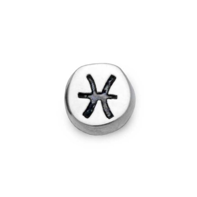 うお座 メンズピアス 片耳/シルバー925 セカンドピアス つけっ