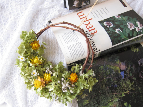 初夏のドライフラワーリース　爽やかな空気　25cm　初夏の花アナベルリース　プレゼント 3枚目の画像