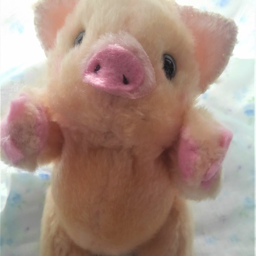 子豚のぬいぐるみ ぬいぐるみ 風間翔 通販 11003299｜Creema(クリーマ) 