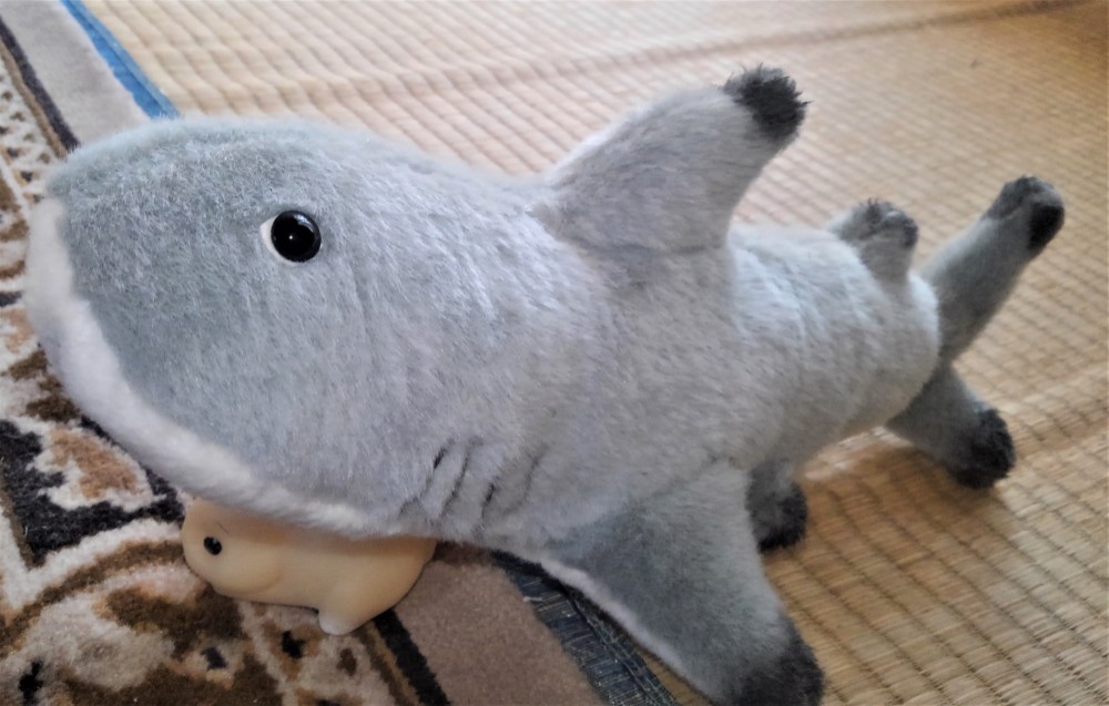 【ぬいぐるみオーダー】 もりまっちょ様 【ぬいぐるみオーダー】 もりまっちょ様