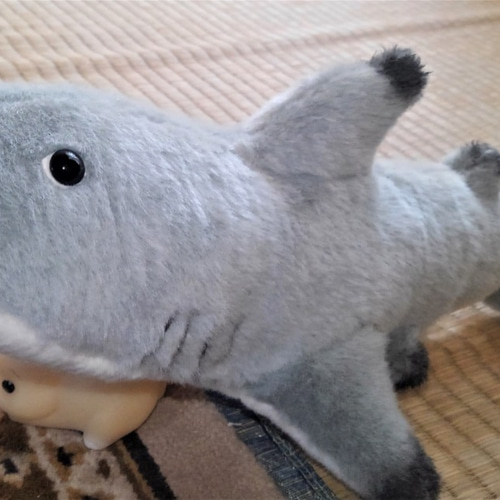 ツマグロのぬいぐるみ（オーダー見本作品） ぬいぐるみ 風間翔