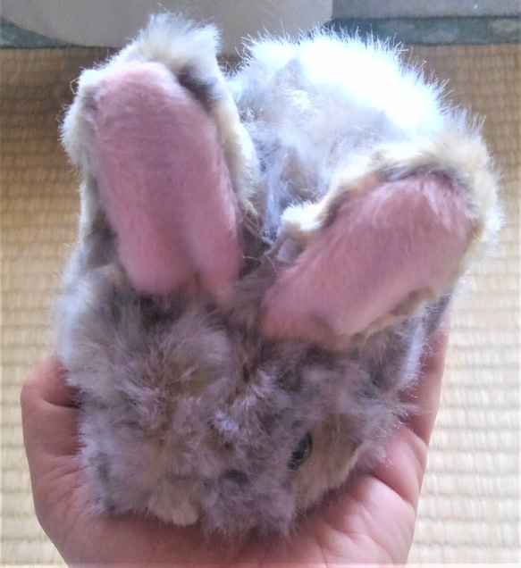 受注生産・真ん丸子ウサギ（三毛） 3枚目の画像