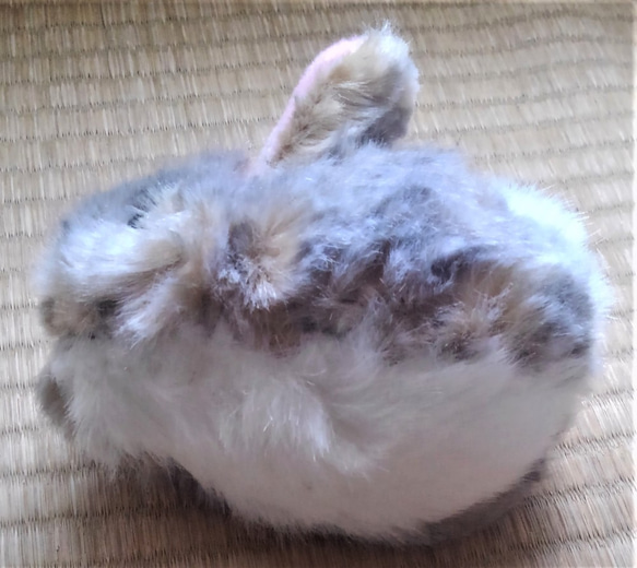 受注生産・真ん丸子ウサギ（三毛） 7枚目の画像