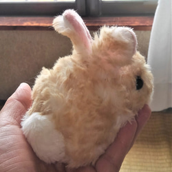 受注生産・真ん丸子ウサギ（紅茶色） 1枚目の画像