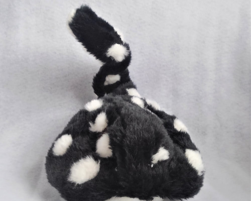 めがうごくぬいぐるみ 目が動くぬいぐるみポップマート | TikTok