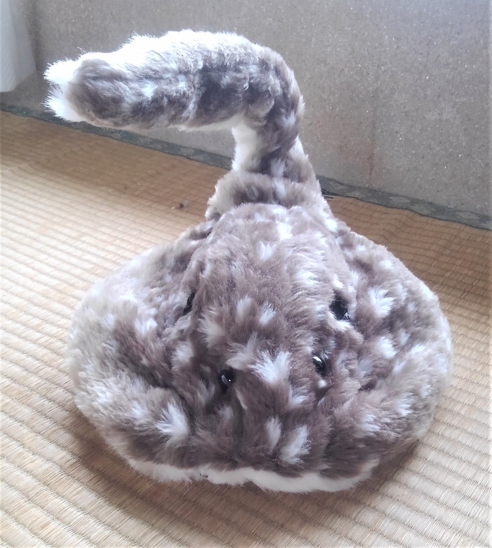 超特価‼️【大量まとめ売り】●水の生き物ぬいぐるみ39個セット 超特価‼️【大量まとめ売り】○水の生き物ぬいぐるみ39個セット