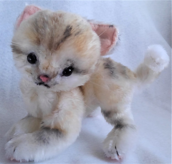 生後1ヶ月♡ほにゃほにゃベビちゃん♡子猫ちゃん♡アートドール
