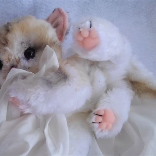 受注生産▫スナネコのぬいぐるみ ぬいぐるみ 風間翔 通販