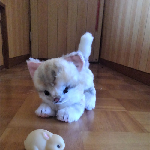 受注生産▫スナネコのぬいぐるみ ぬいぐるみ 風間翔 通販