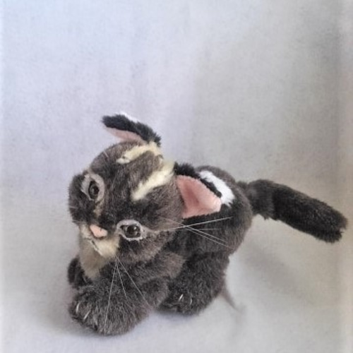 受注生産・イリオモテヤマネコのぬいぐるみ ぬいぐるみ 風間翔 通販