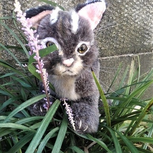 受注生産・イリオモテヤマネコのぬいぐるみ ぬいぐるみ 風間翔 受注生産・イリオモテヤマネコのぬいぐるみ ぬいぐるみ 風間翔