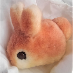 受注生産・真ん丸子ウサギ(バターロール) 2枚目の画像